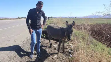 Hatay’da Annesinin Başında Saatlerce Bekleyen Sıpa Yürekleri Dağladı